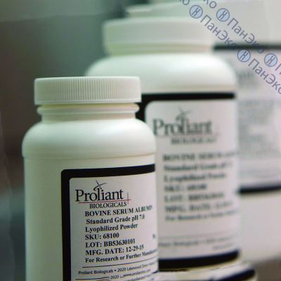 Альбумин бычий, 5 кг, Proliant Biologicals