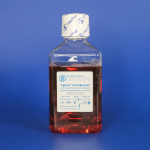 Среда Лимфоген, 500 мл, евро-ПЭТ